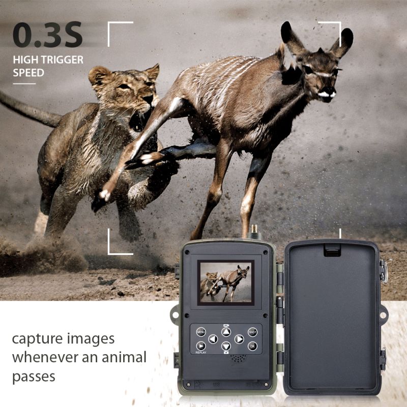 HC801M Trail Wildlife Camera 20MP 1080P Nachtzicht Ideaal voor Wildlife Fotografie Infrarood en 2G MMS verbinding