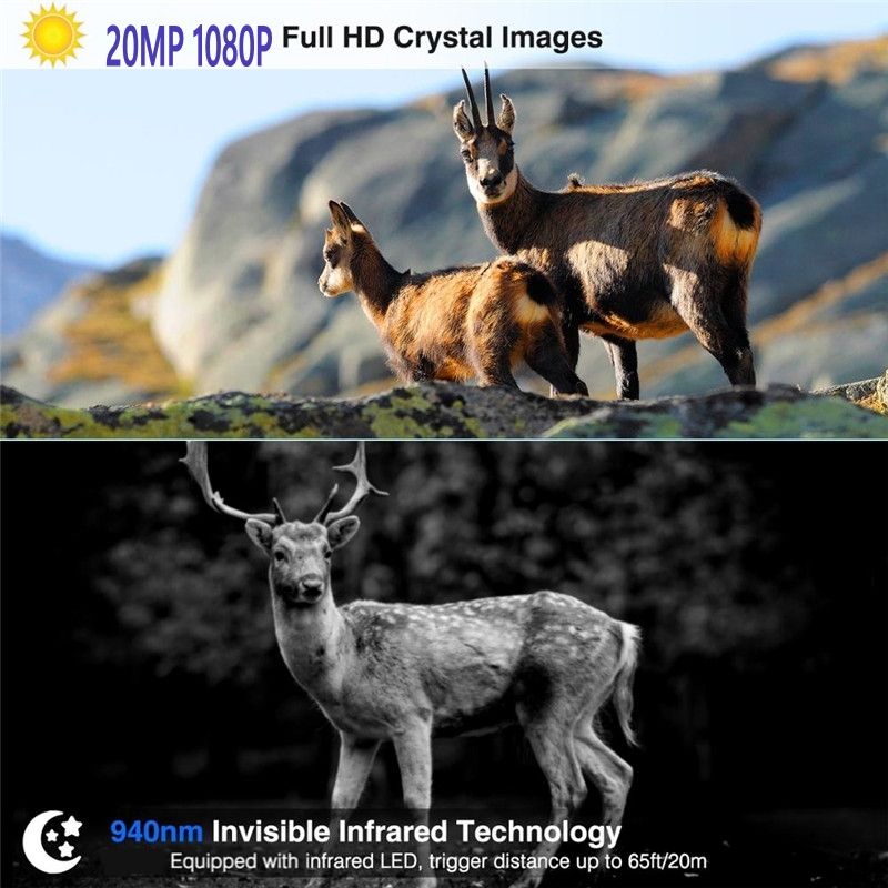 HC801M Trail Wildlife Camera 20MP 1080P Nachtzicht Ideaal voor Wildlife Fotografie Infrarood en 2G MMS verbinding