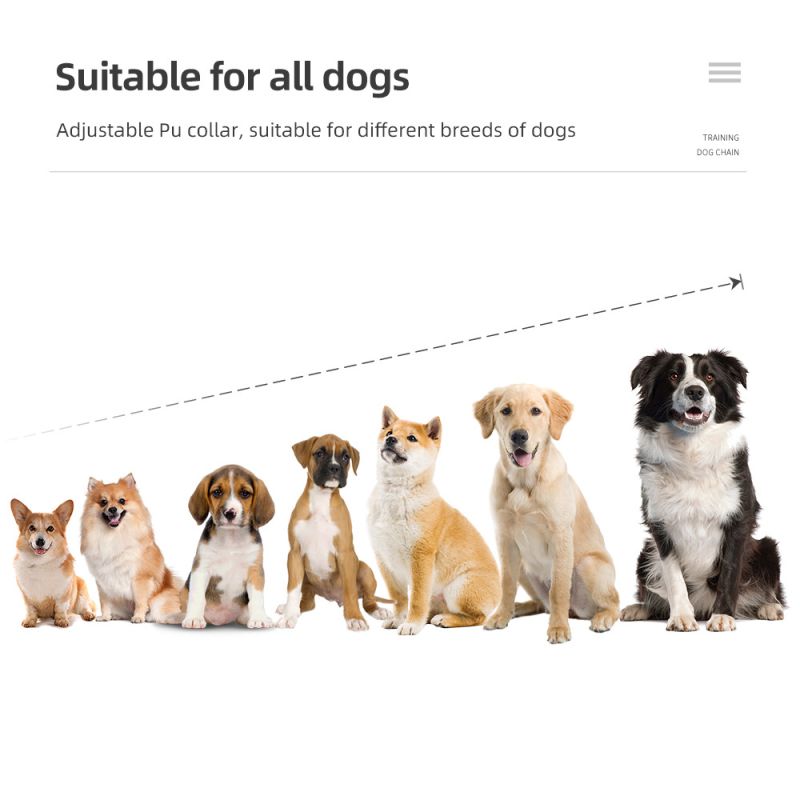 Nieuwe IP7 waterdichte 800m hondentrainingshalsband met verstelbare niveaus voor effectieve gehoorzaamheidstraining