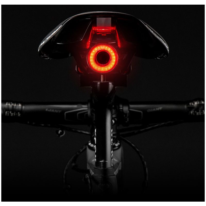 ROCKBROS Q5 Fiets Smart Light met Automatische Remdetectie IPx6 Waterdicht Veiligheid Voor Fietsers