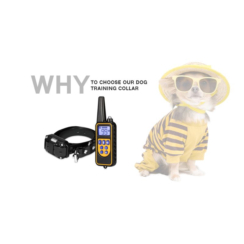 800m Elektrische Waterdichte Hondentrainingshalsband met Afstandsbediening en Verstelbare Trillingsniveaus