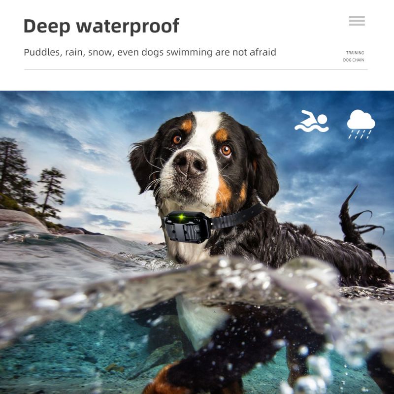 Nieuwe IP7 waterdichte 800m hondentrainingshalsband met verstelbare niveaus voor effectieve gehoorzaamheidstraining