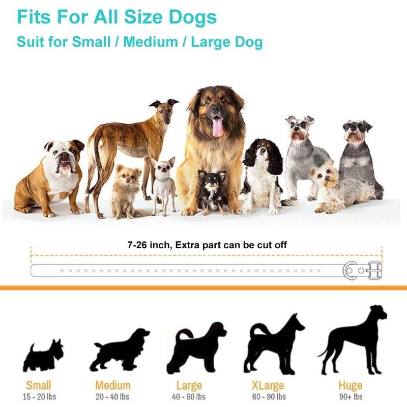 800m Elektrische Hondentrainingshalsband voor Kleine tot Grote Honden 3 Trainingsmodi Oplaadbaar en Waterdicht