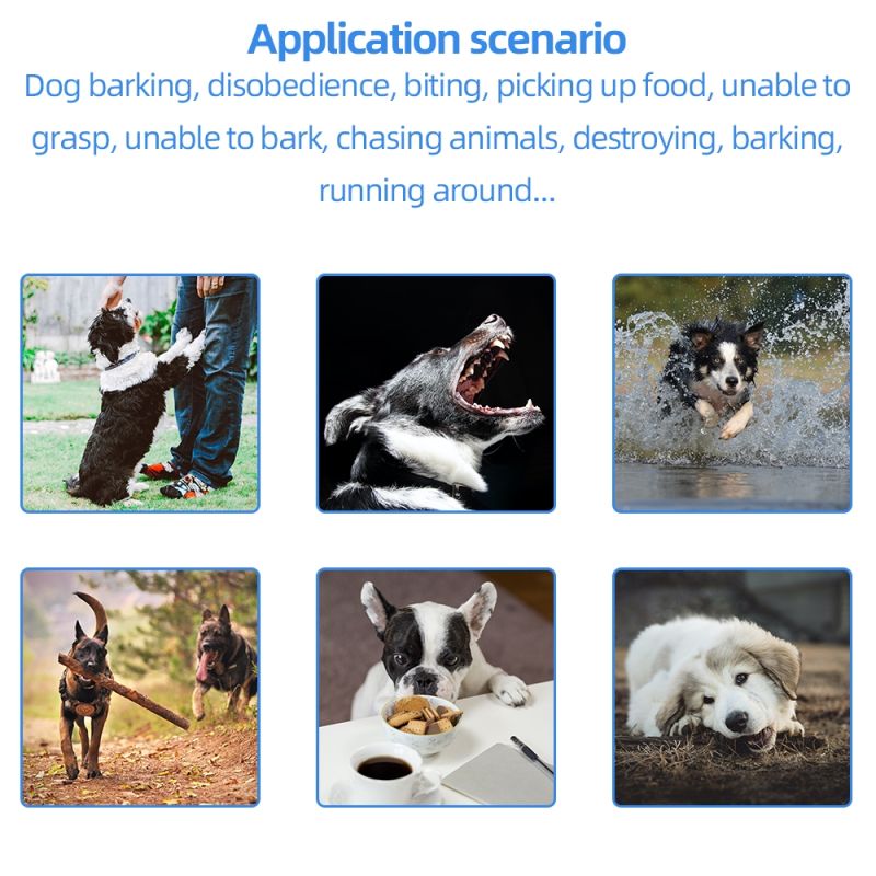 2021 NIEUWE Elektrische Hond Trainingskraag 500m Afstandsbediening Waterdichte Oplaadbare Kraag LCD-scherm