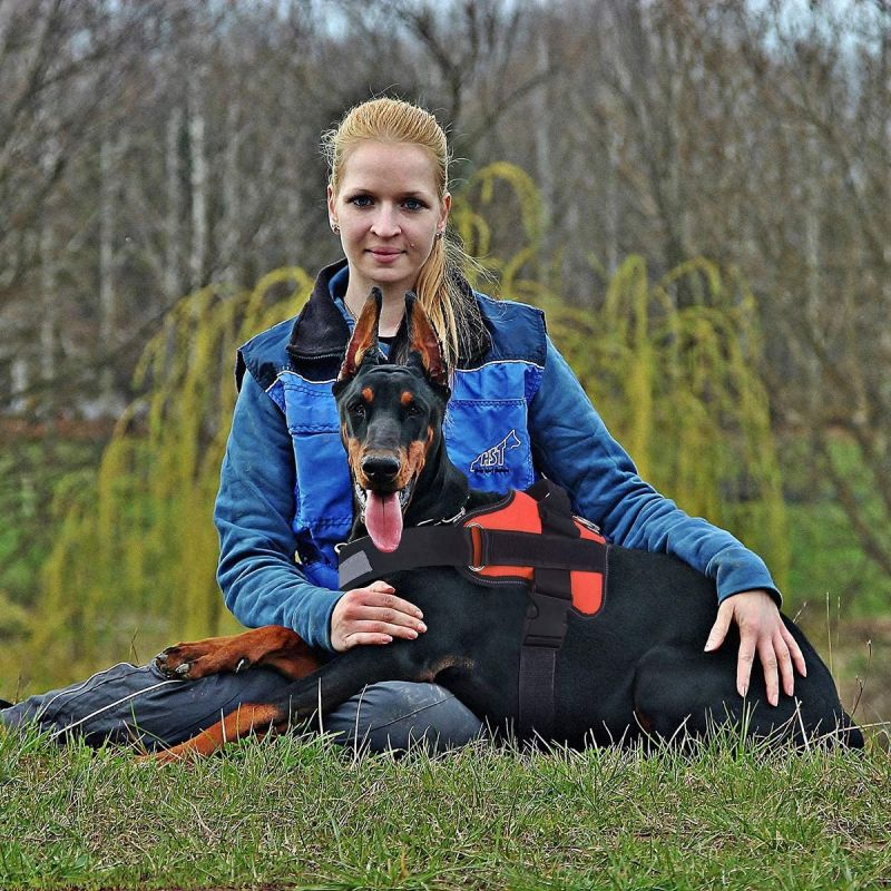 Reflecterend ademend verstelbaar geen-trek hondenharnas met handvat voor middelgrote honden zoals Engelse Bulldogs