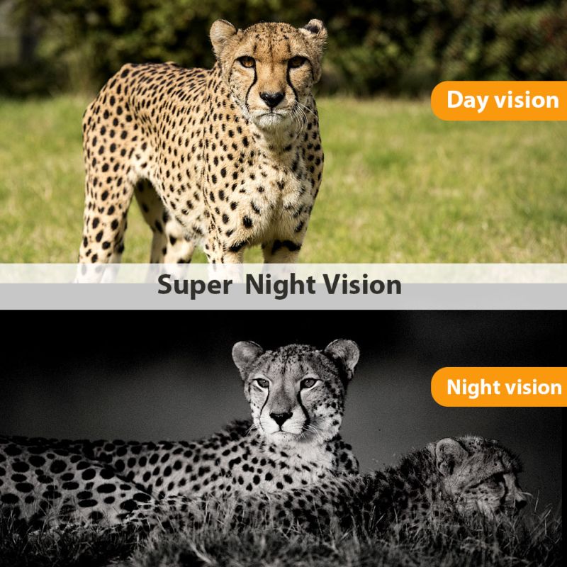 HC801M Trail Wildlife Camera 20MP 1080P Nachtzicht Ideaal voor Wildlife Fotografie Infrarood en 2G MMS verbinding