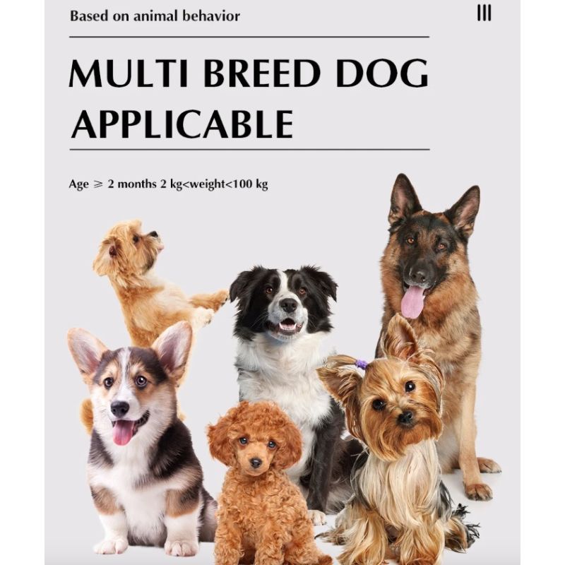 Draadloos Elektronisch Hondenheksysteem Afstandsbediening Trainingshalsband Innovatieve Huisdierproducten