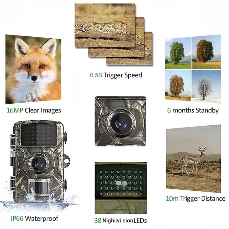 Jacht Trail Camera 940nm Infrarood Nachtzicht Bewegingsgeactiveerde Trigger Hoge Resolutie Wildlife Fotografie
