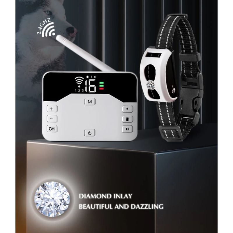 Draadloos Elektronisch Hondenheksysteem Afstandsbediening Trainingshalsband Innovatieve Huisdierproducten