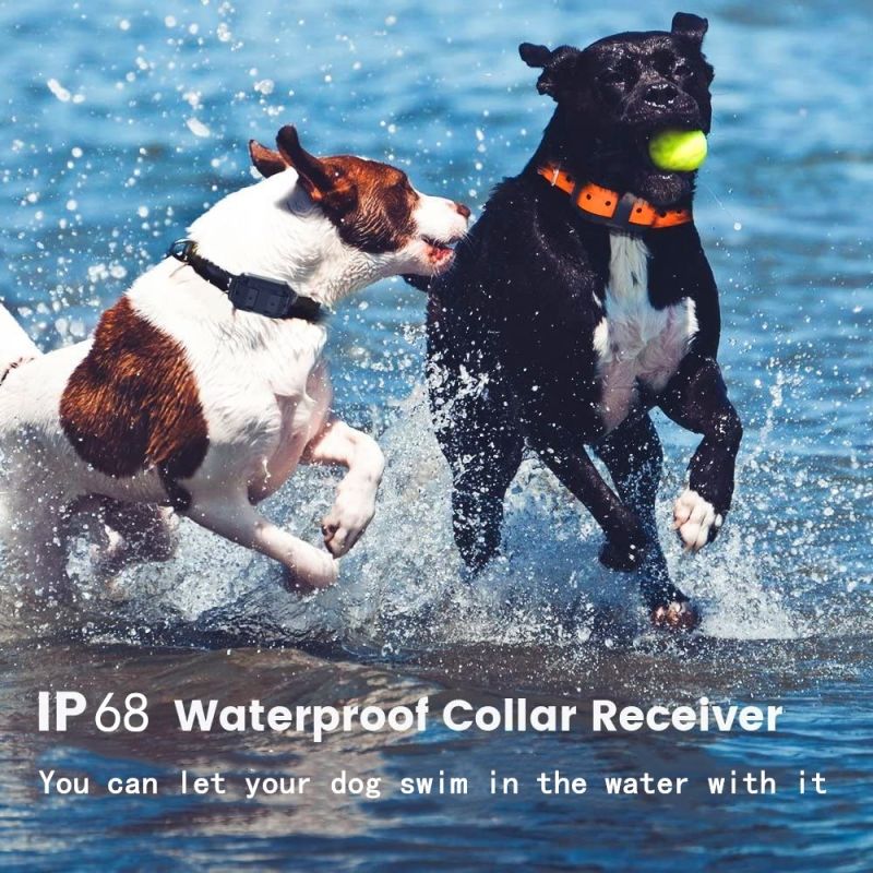 2020 nieuwe elektrische hondentrainingshalsband met 1000m bereik waterdicht oplaadbaar met instelbare stimulatieniveaus