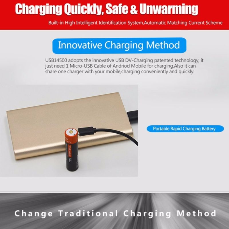 DoublePow 14500 750mAh Micro USB oplaadbare batterij voor zaklampen en speakers hoge capaciteit milieuvriendelijk