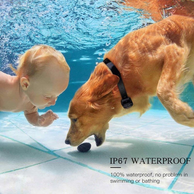 Ontdek de 800m elektrische hondentrainingshalsband waterdicht met LCD-scherm en verstelbare trainingsniveaus