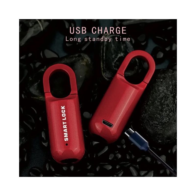 Mini-Vingerafdrukhangslot met USB Sleutelloze Toegang Elektronisch Lichtgewicht Ontwerp voor Reizen en Avontuur