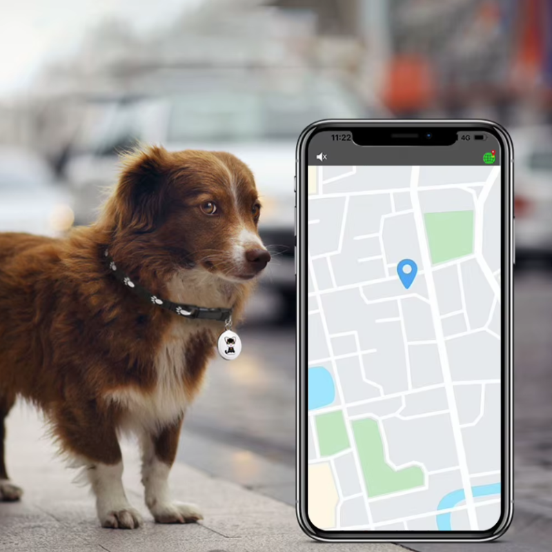 Ontdek Hondentracker Airtag Hondenhalsband GPS Tracker voor Honden met Real-Time Locatie en Slimme Locator