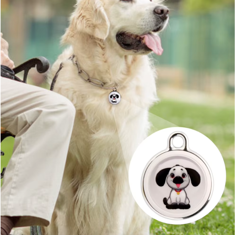 Ontdek Hondentracker Airtag Hondenhalsband GPS Tracker voor Honden met Real-Time Locatie en Slimme Locator