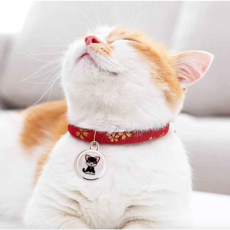 Ontdek Hondentracker Airtag Hondenhalsband GPS Tracker voor Honden met Real-Time Locatie en Slimme Locator