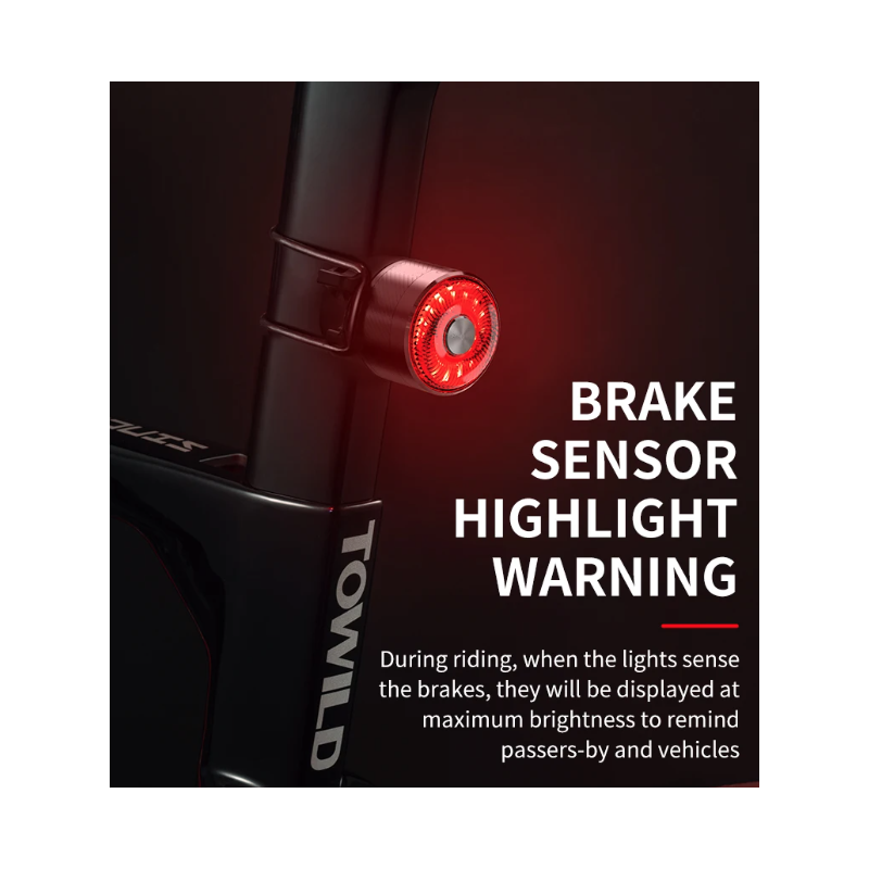 TOWILD TL05 Achterlicht LED Fietsverlichting Slimme Auto Remsensor USB Opladen IPX6 Waterdicht Veiligheidslicht