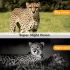 HC801M Trail Wildlife Camera 20MP 1080P Nachtzicht Ideaal voor Wildlife Fotografie Infrarood en 2G MMS verbinding