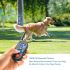 800m Elektrische Hondentrainingshalsband voor Kleine tot Grote Honden 3 Trainingsmodi Oplaadbaar en Waterdicht