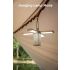 Klarus CL2 750 Lumen Vrij Vouwbaar Oogverzorgend Campinglamp 7 Lichtmodi Verstelbare Hoek voor Binnen Buiten