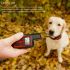 Waterdichte Oplaadbare Honden Trainingshalsband met Afstandsbediening Verstelbare Schokniveaus voor Gedragscorrectie