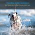 GPS Smart Waterproof Pet Locator Duurzame IP65 Waterdichte GPS locatiehalsband Real-Time Huisdier Tracking Kat Hond