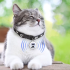 Ontdek Hondentracker Airtag Hondenhalsband GPS Tracker voor Honden met Real-Time Locatie en Slimme Locator