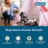 Seresto Grote hond, door dierenartsen aanbevolen vlooien- en tekenbehandeling en -preventiehalsband 8 maanden bescherming