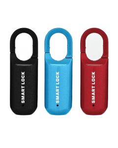 Mini-Vingerafdrukhangslot met USB Sleutelloze Toegang Elektronisch Lichtgewicht Ontwerp voor Reizen en Avontuur