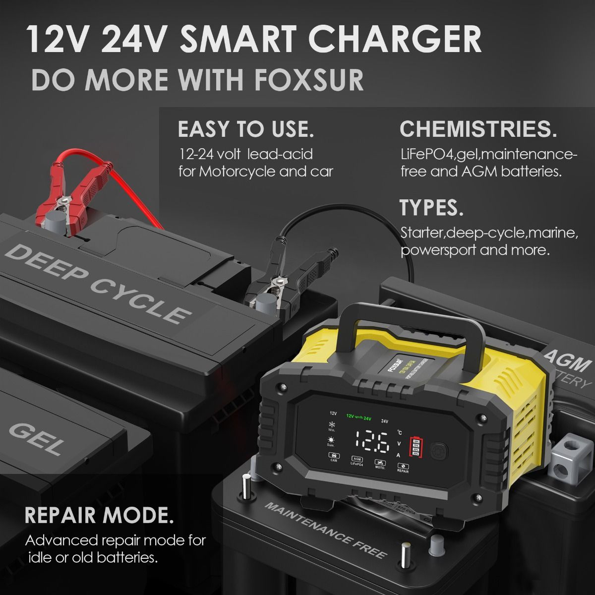 FOXSUR Draagbare autobatterijlader 12V 24V Veelzijdige lader voor AGM, LiFePO4, loodzuur, motorfiets en vrachtwagen