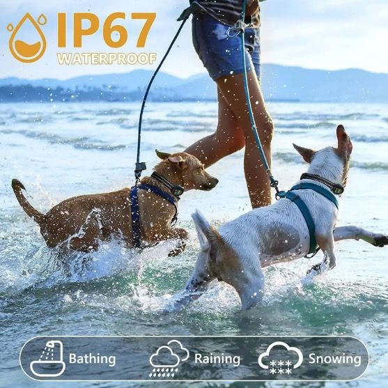 Slimme automatische anti-blaf halsband voor honden, oplaadbaar ontwerp met intelligente blafherkenning, humane oplossing