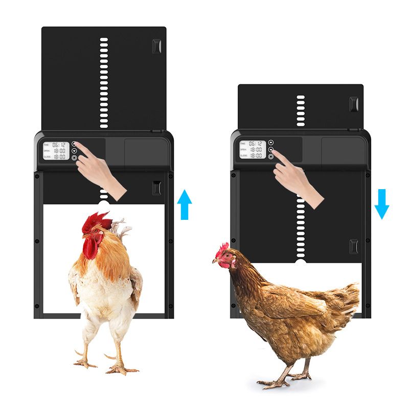 Timer Automatische Kippenhok Deurmotor Eenvoudige Installatie Weerbestendig Intelligent Pluimveebeheer