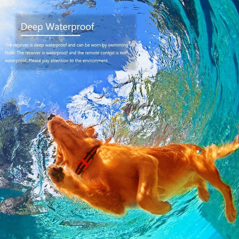 NIEUW Waterdichte Oplaadbare Hondentrainingshalsband met Instelbare Schokniveaus Effectieve Gedragscorrectie