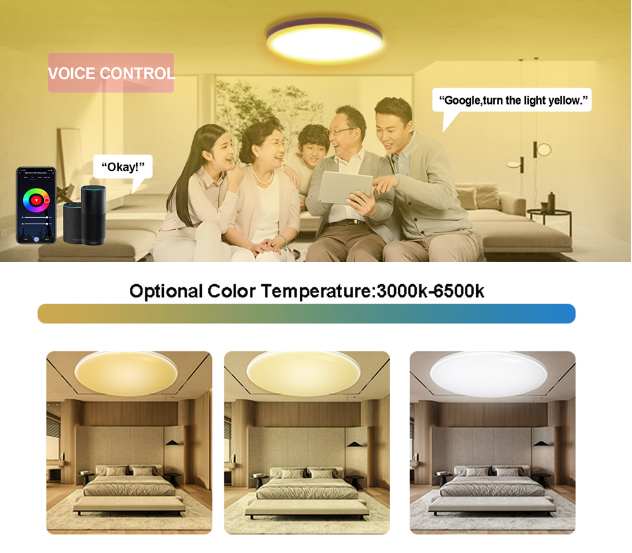 Tuya Zigbee Smart Plafondlamp 24W RGBCW Dynamische Verlichting voor Thuis Alexa Compatibel Energiezuinig